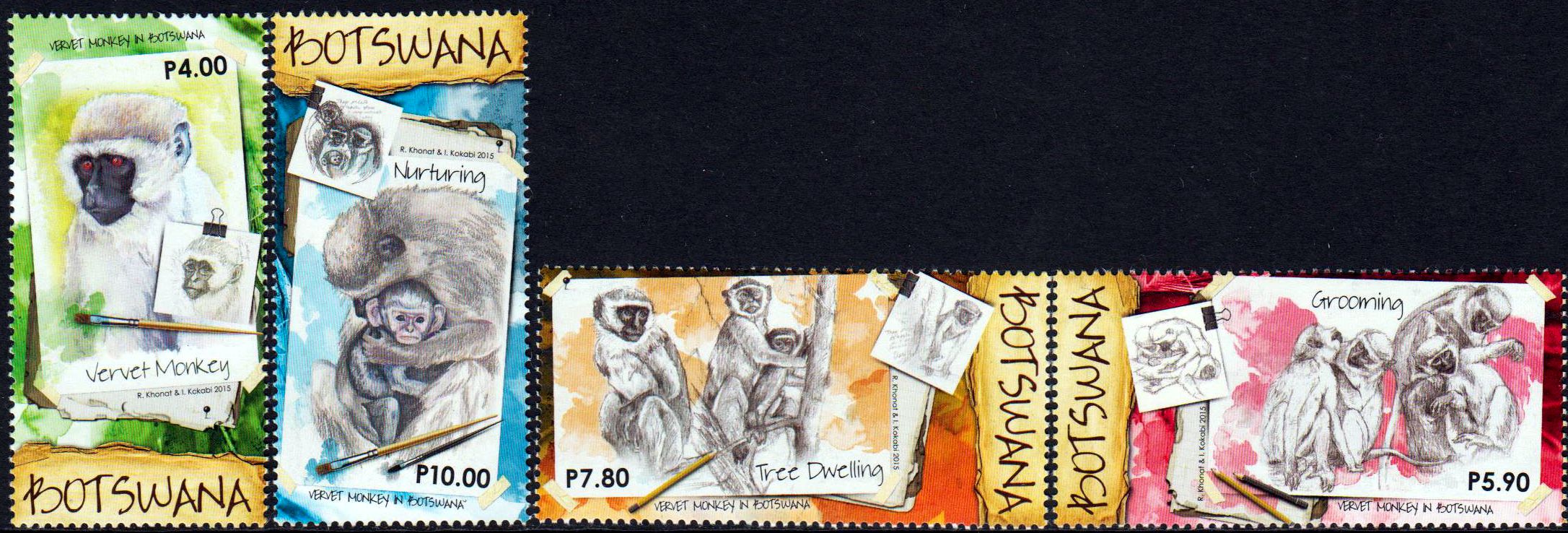 Affen in Botswana (15P05)