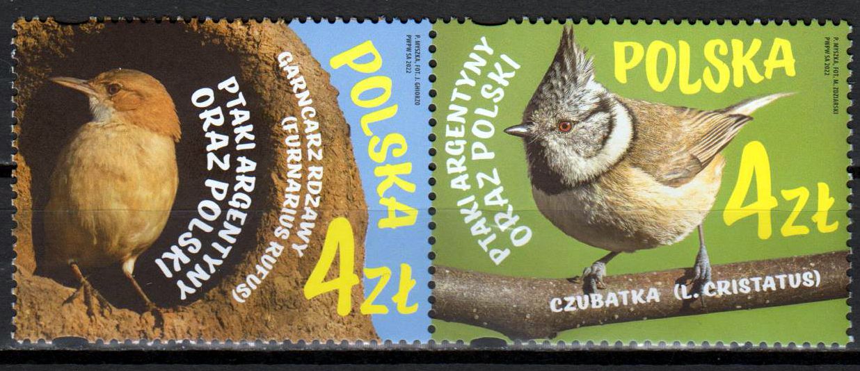 Vögel 2022, Argentinien GA