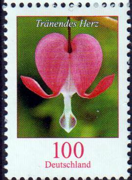 Dauer Blume, Tränendes Herz, 100er, mit Nummer, Nachauflage 2017!!