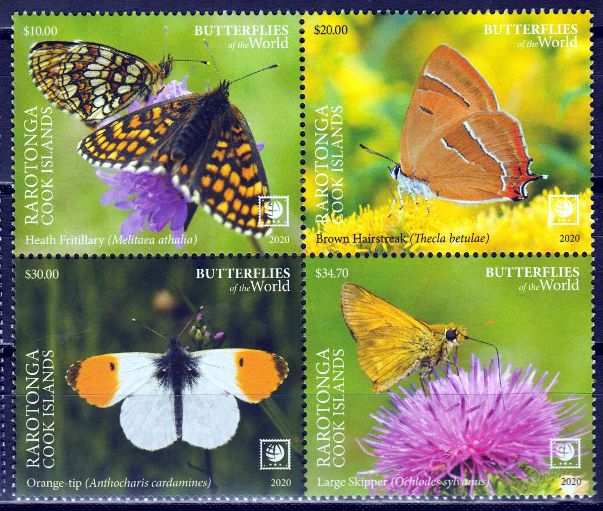 Schmetterlinge II 2020, Orange-tip, farbiger Rand