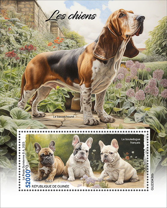 Block: Hunde 2023