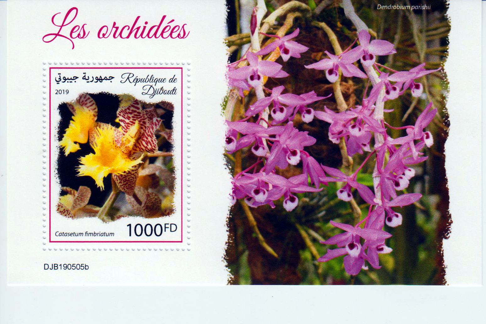 Block: Orchideen 2019