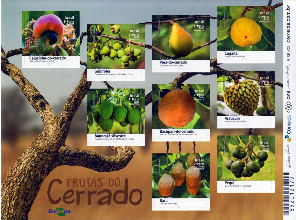 Früchte des Cerrado, sk