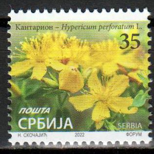 Dauer: 35 RSD 2022, Blumen