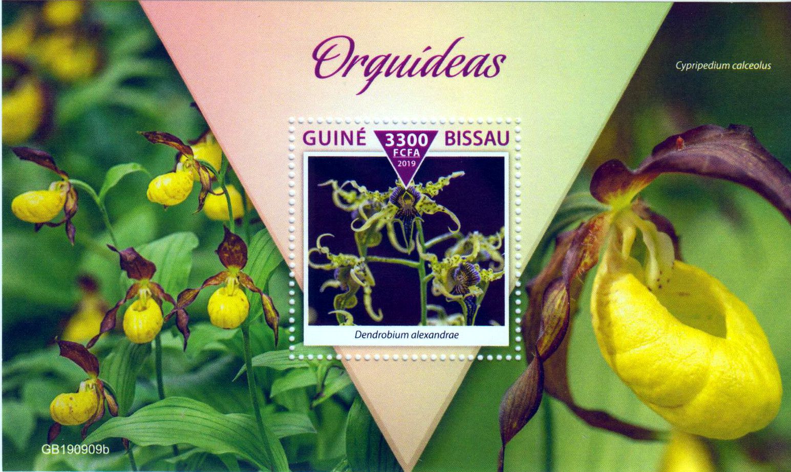 Block: Orchideen 2019