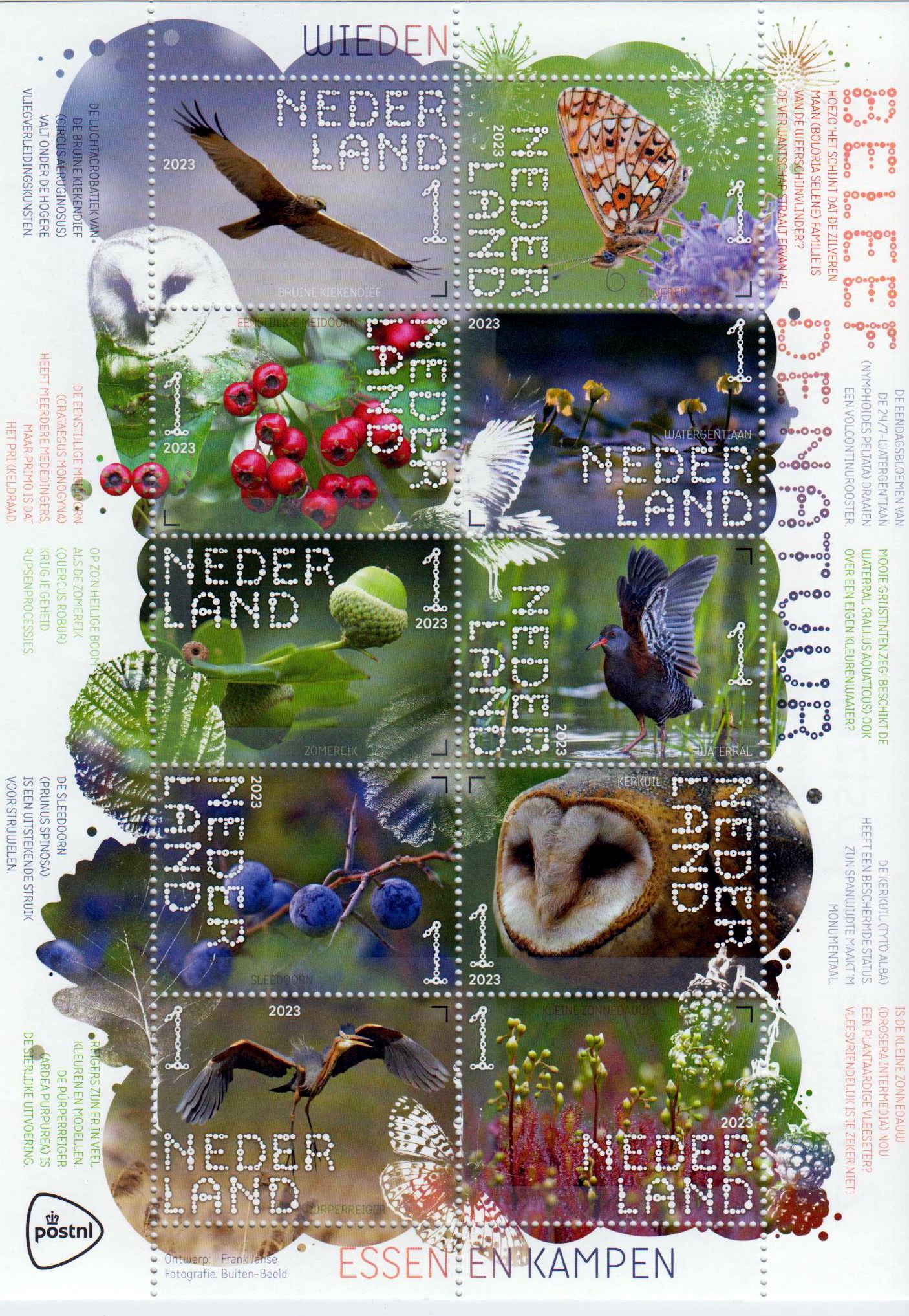 Natur 2023, Wieden, Vögel, Pflanzen
