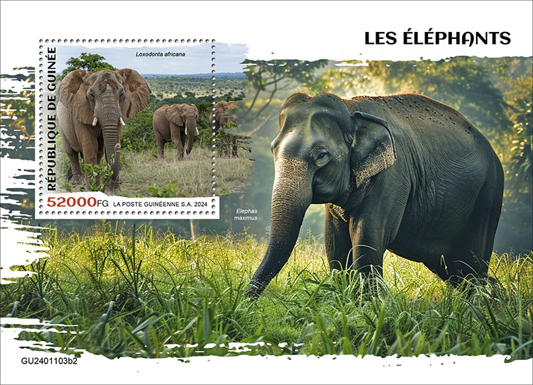 Block: Elefanten 2024 II