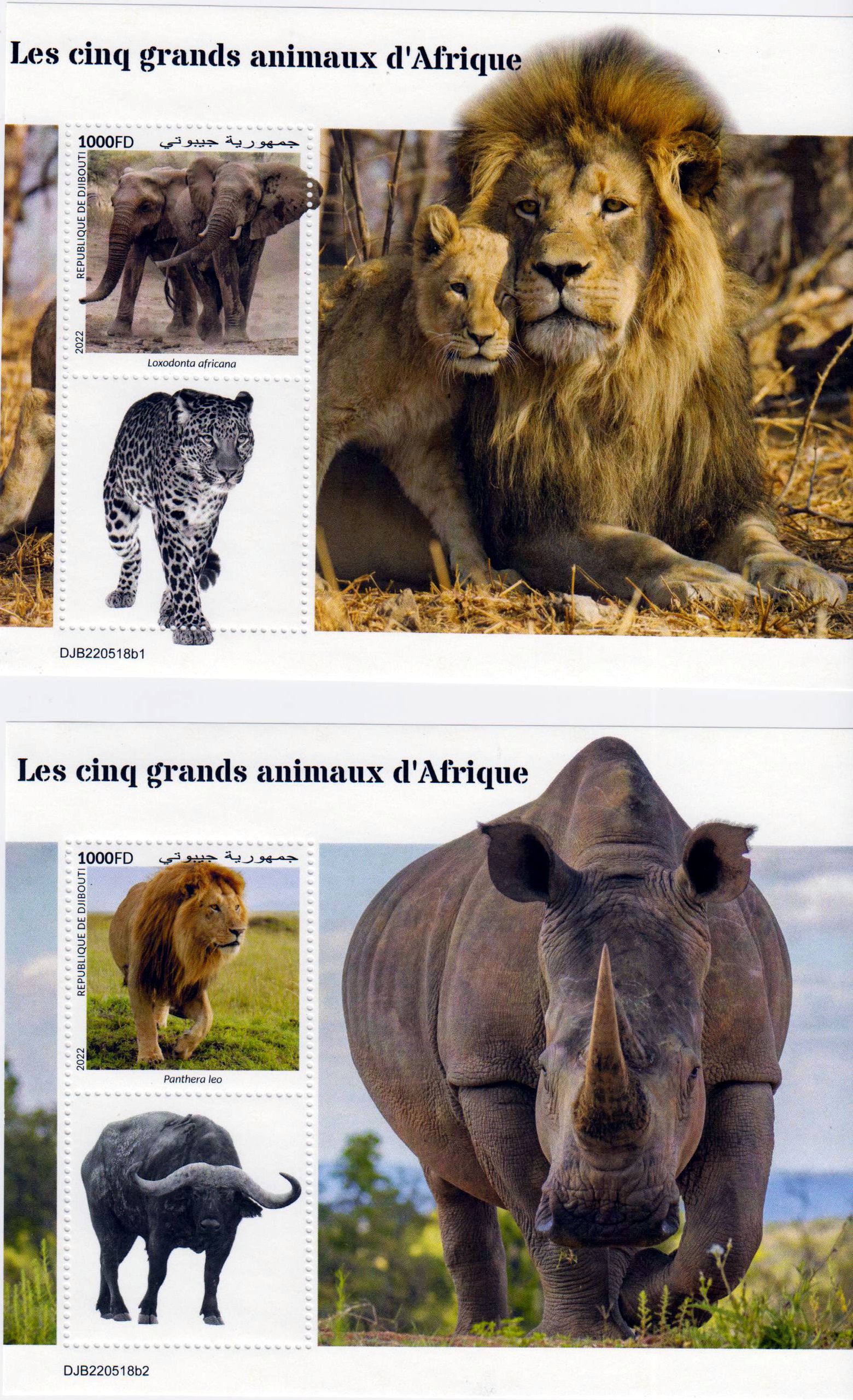 Block: Big Five 2022, Elefant, Löwe