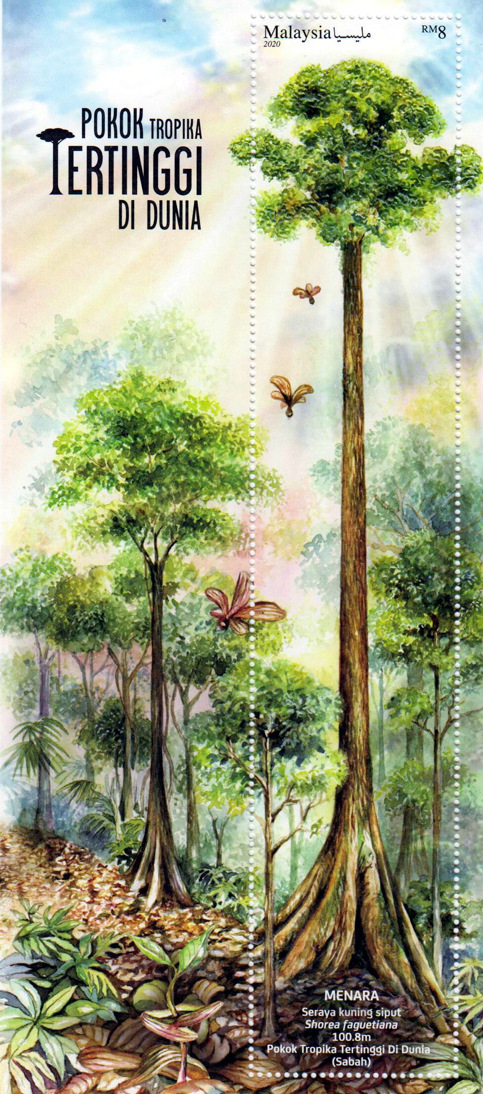 Block: Höchster tropischer Baum