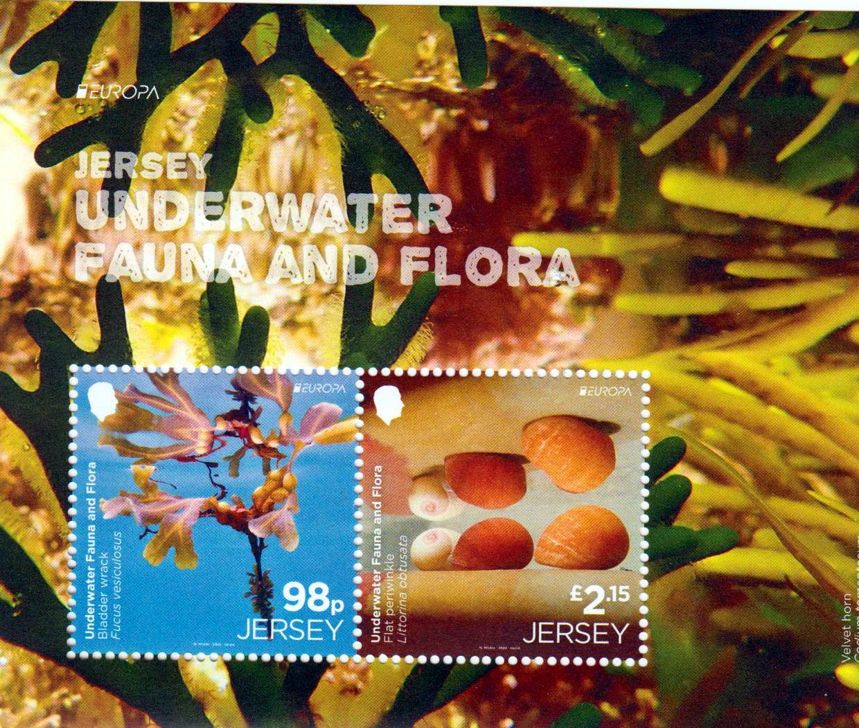 Block: Europa 2024, Unterwasser Fauna und Flora