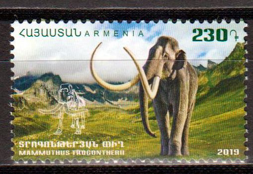 Mammut 2019