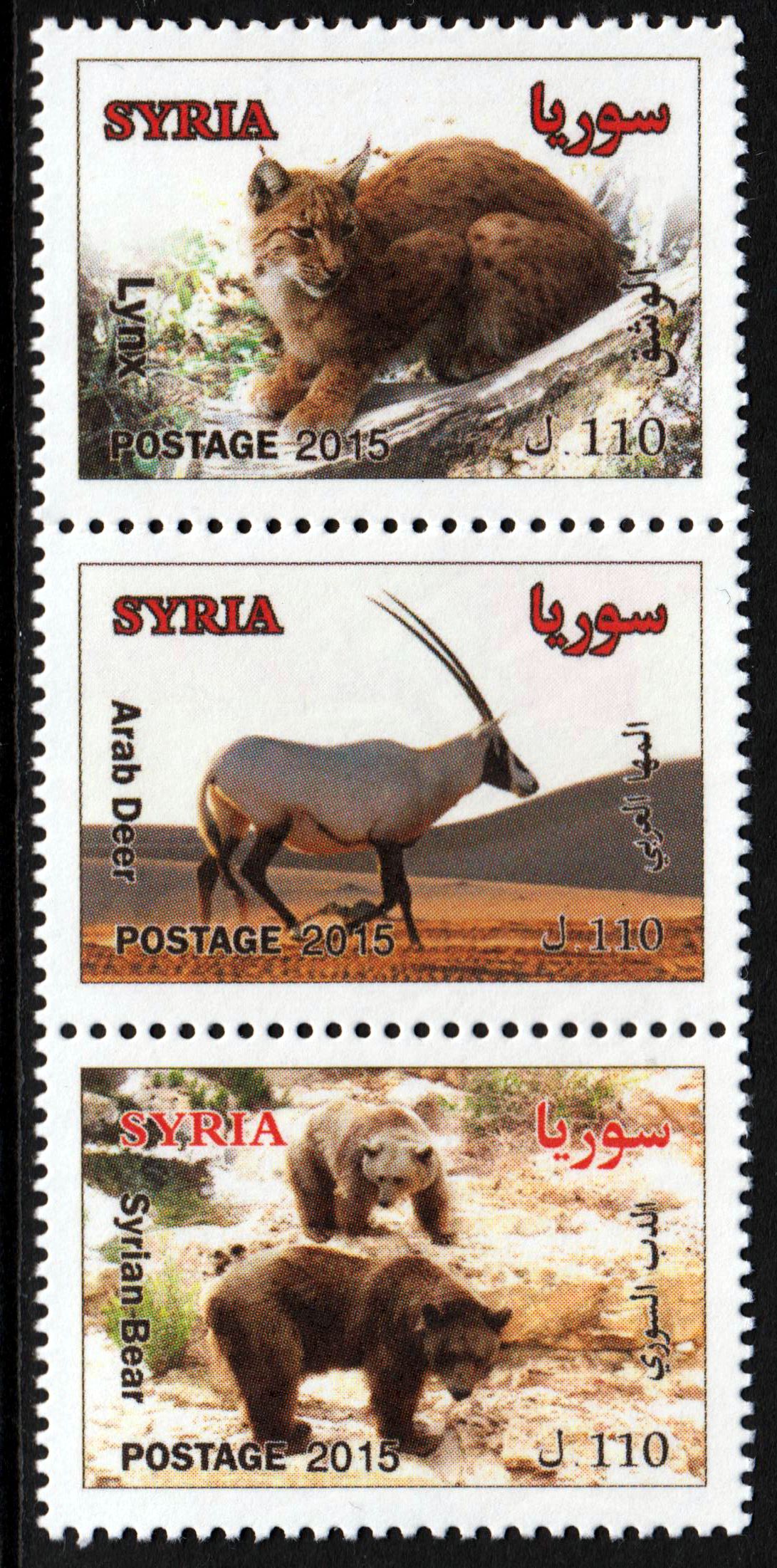 Tiere, Bär, Luchs (15P11)