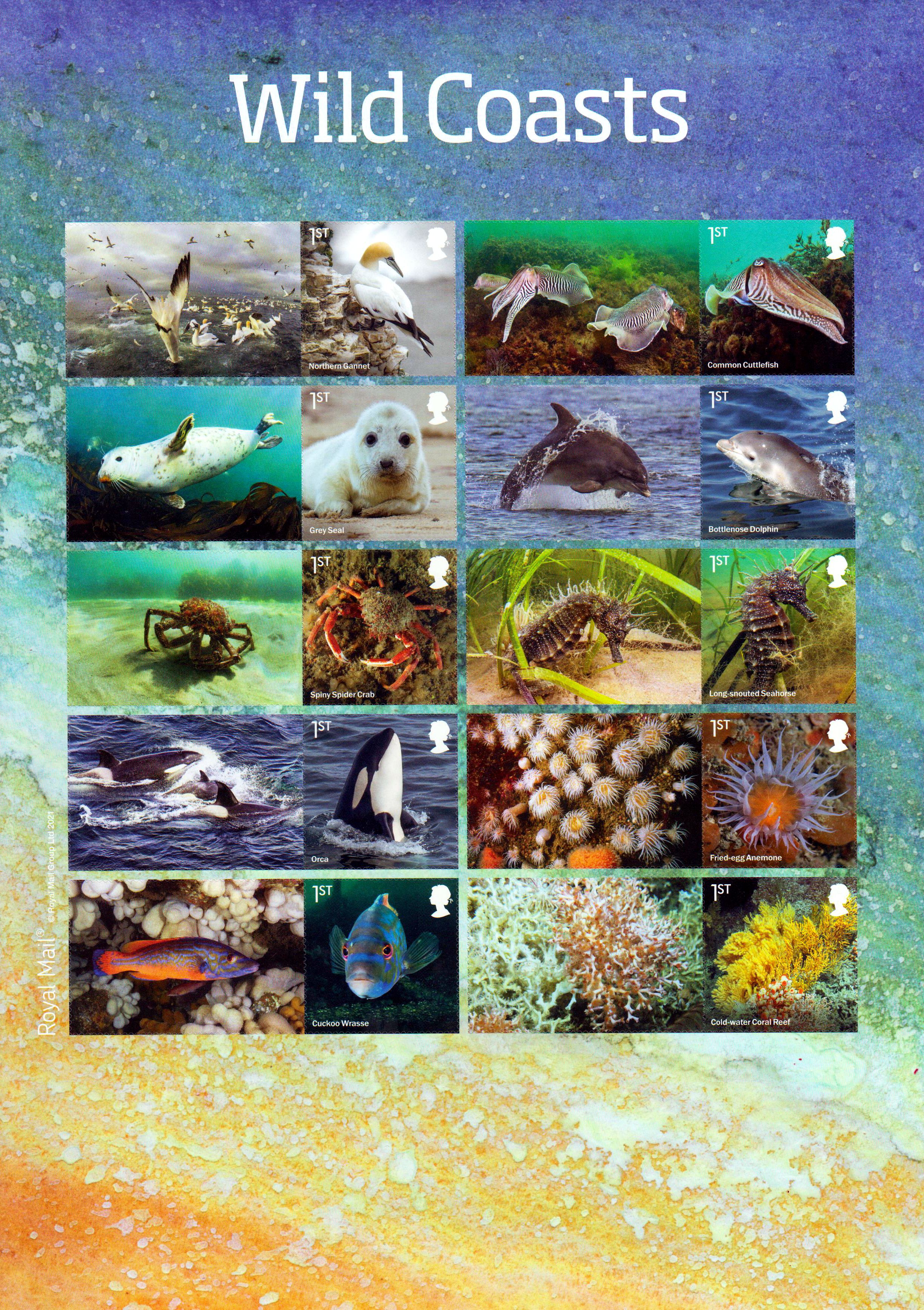 Wilde Küsten 2021, Fische, Korallen, Wale, Vögel, sk
