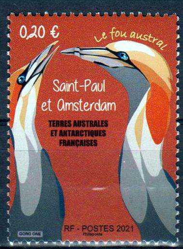 Fou Austral de St. Paul 2021, Vogel