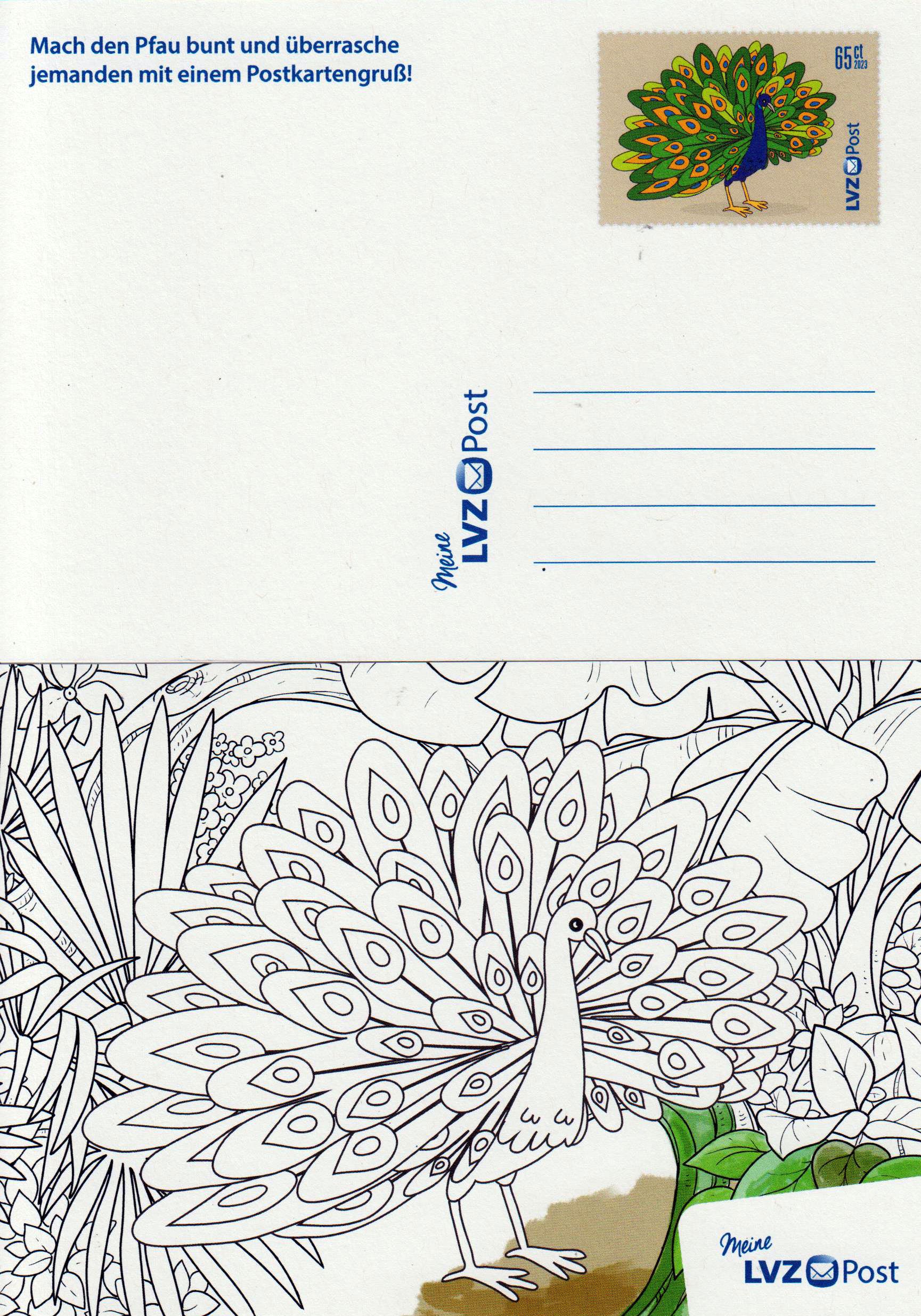 Kidz-Days 2023, Pfau