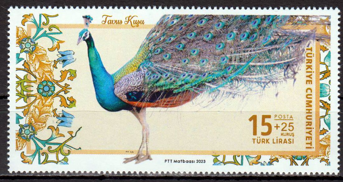 Pfau 2023