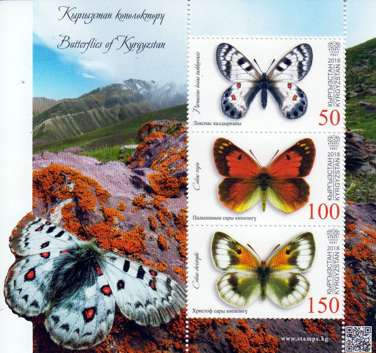 Block: Schmetterlinge 2018