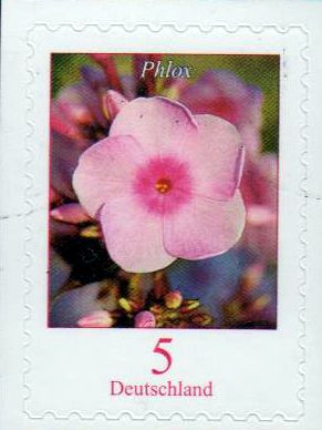Dauer: Phlox 2019, sk (5ct)