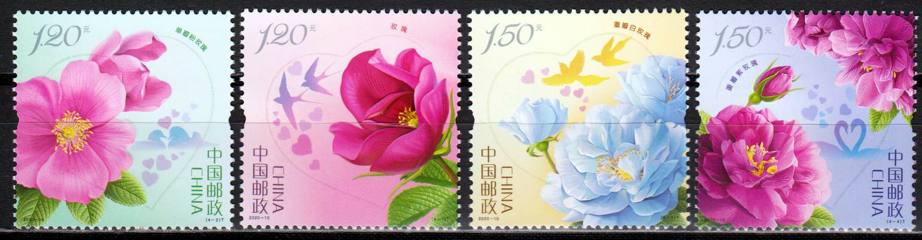 Rosen (2020-10), Hologramm