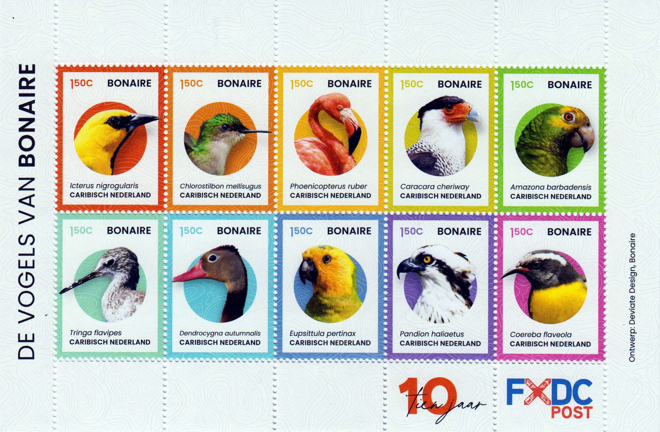Bonaire Vögel 2024