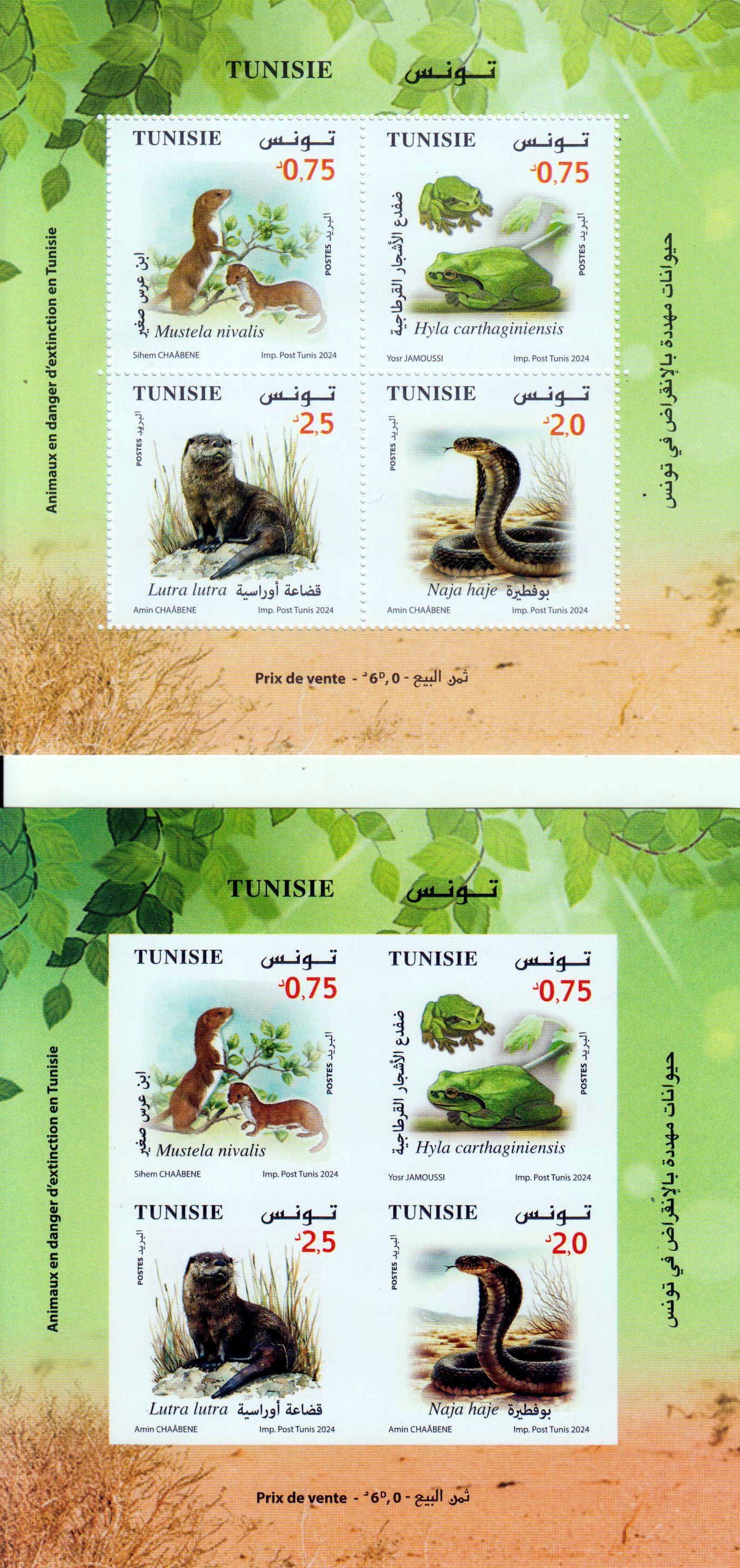 Block: Fauna in Gefahr 2024, Frosch, Schlange,  Wiesel, Fischotter, gezähnt und geschnitten