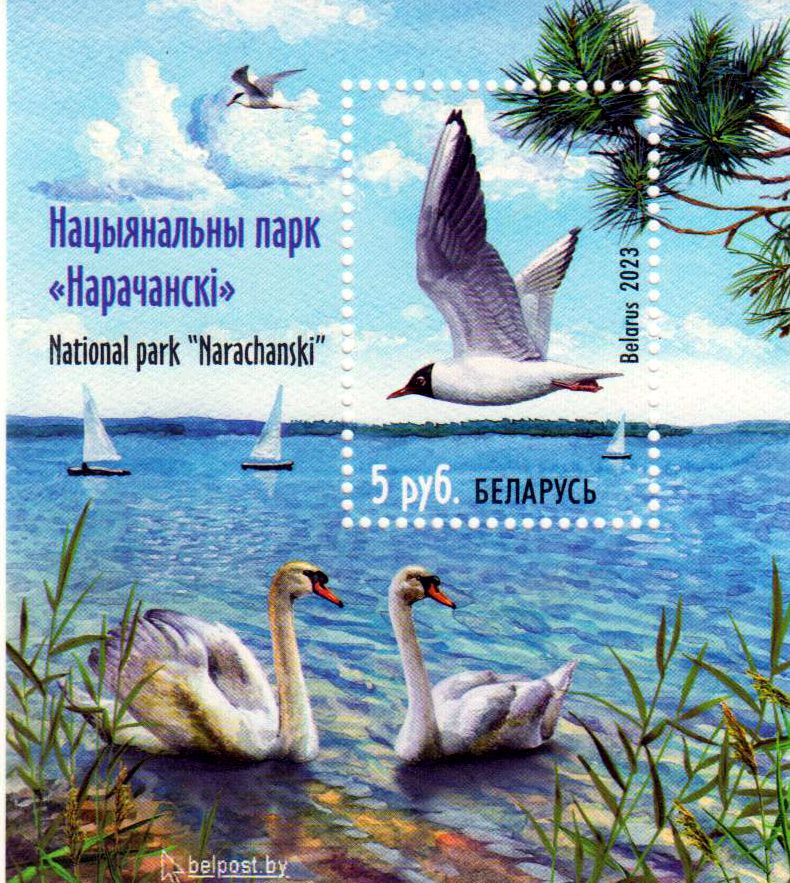 Block: Nationalpark Narachanski 2023, Möwe