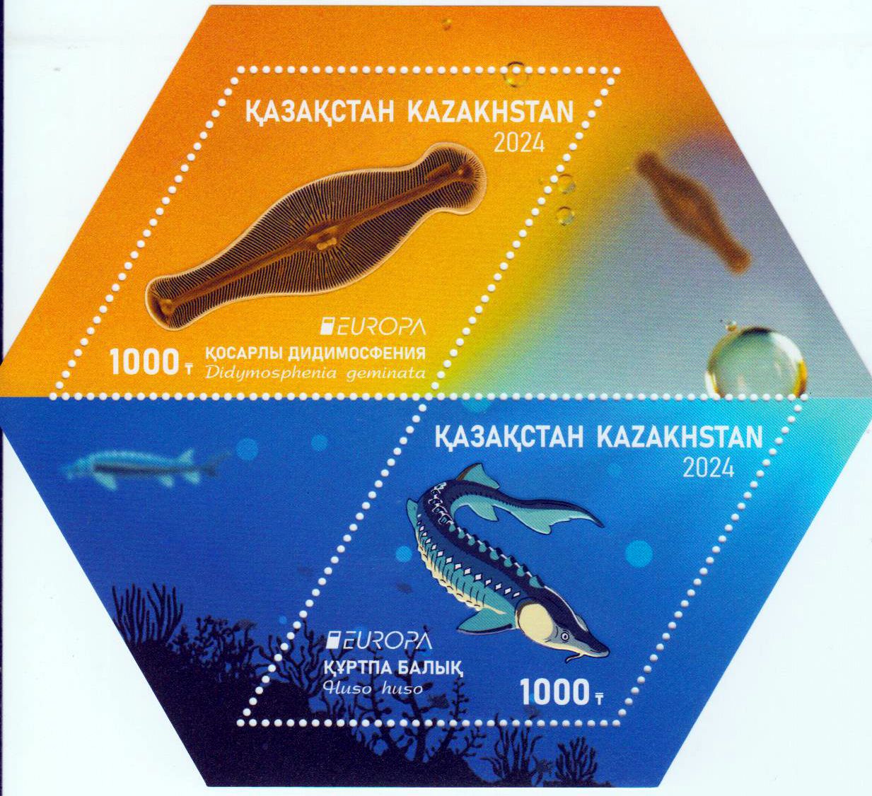 Block: Europa 2024, Unterwasserflora und- fauna