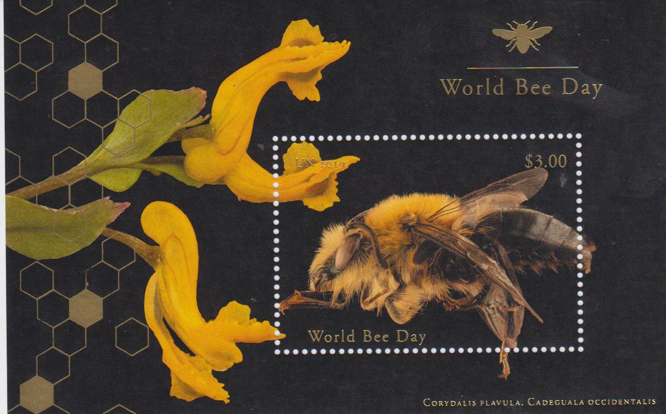 Block: Weltbienentag 2019
