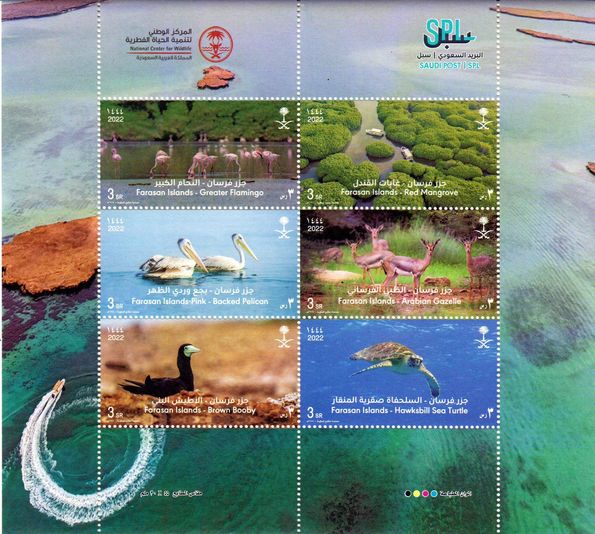 Farasan Islands 2022