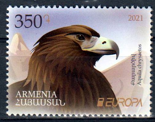 Europa 2021, Steinadler
