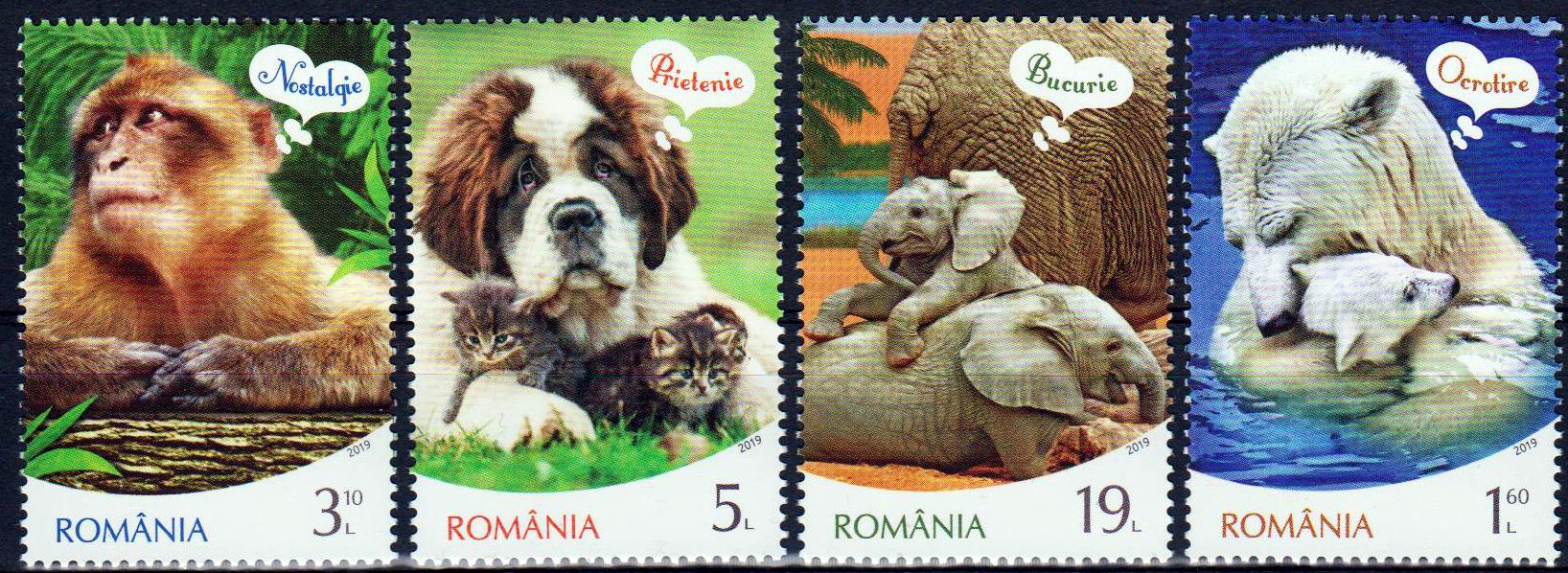 Animals Emotions, Elefant, Hund, Eisbär, Affe
