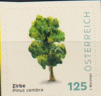 Dauer: Zirbe 2026, sk