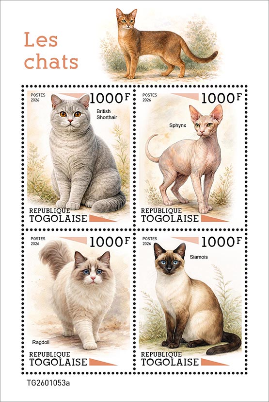 Katzen 2026