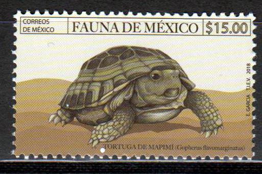 Fauna 2018, Schildkröte