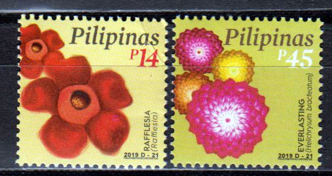 Dauer: Blumen 2019,14 + 45 P