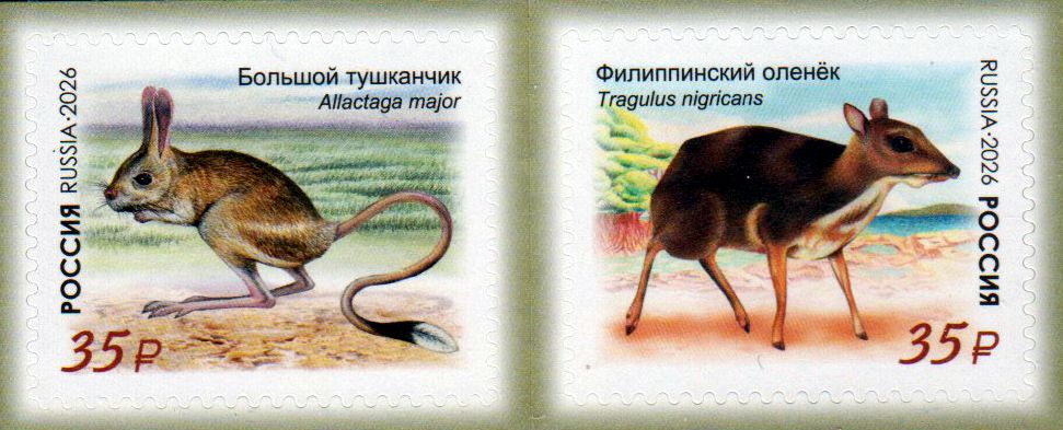 Fauna 2026, Mäuse, Philippinnen, sk GA