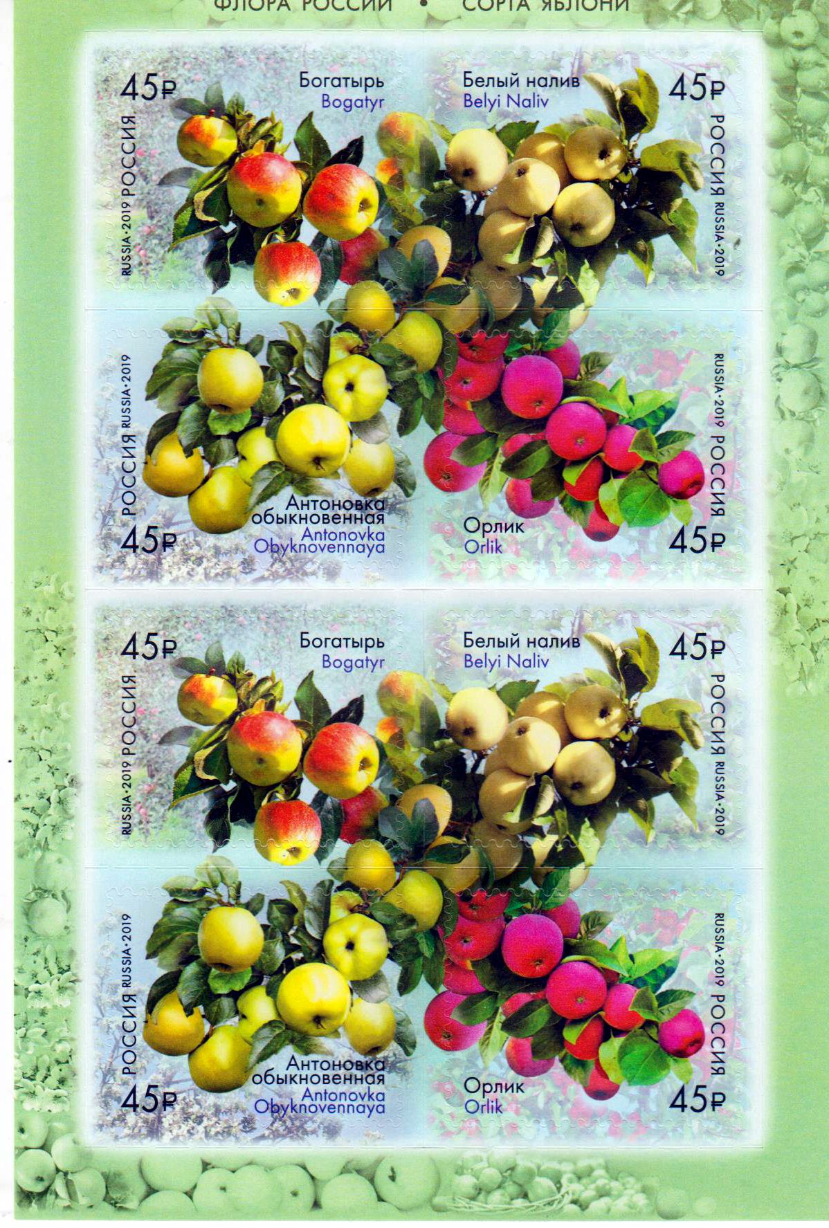 Russische Flora 2019, Äpfel, sk