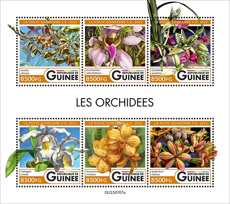 Orchideen 2025