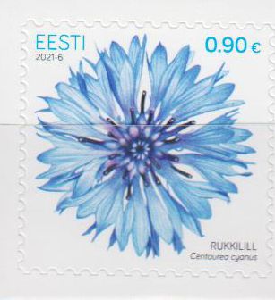 Kornblume 2021, sk