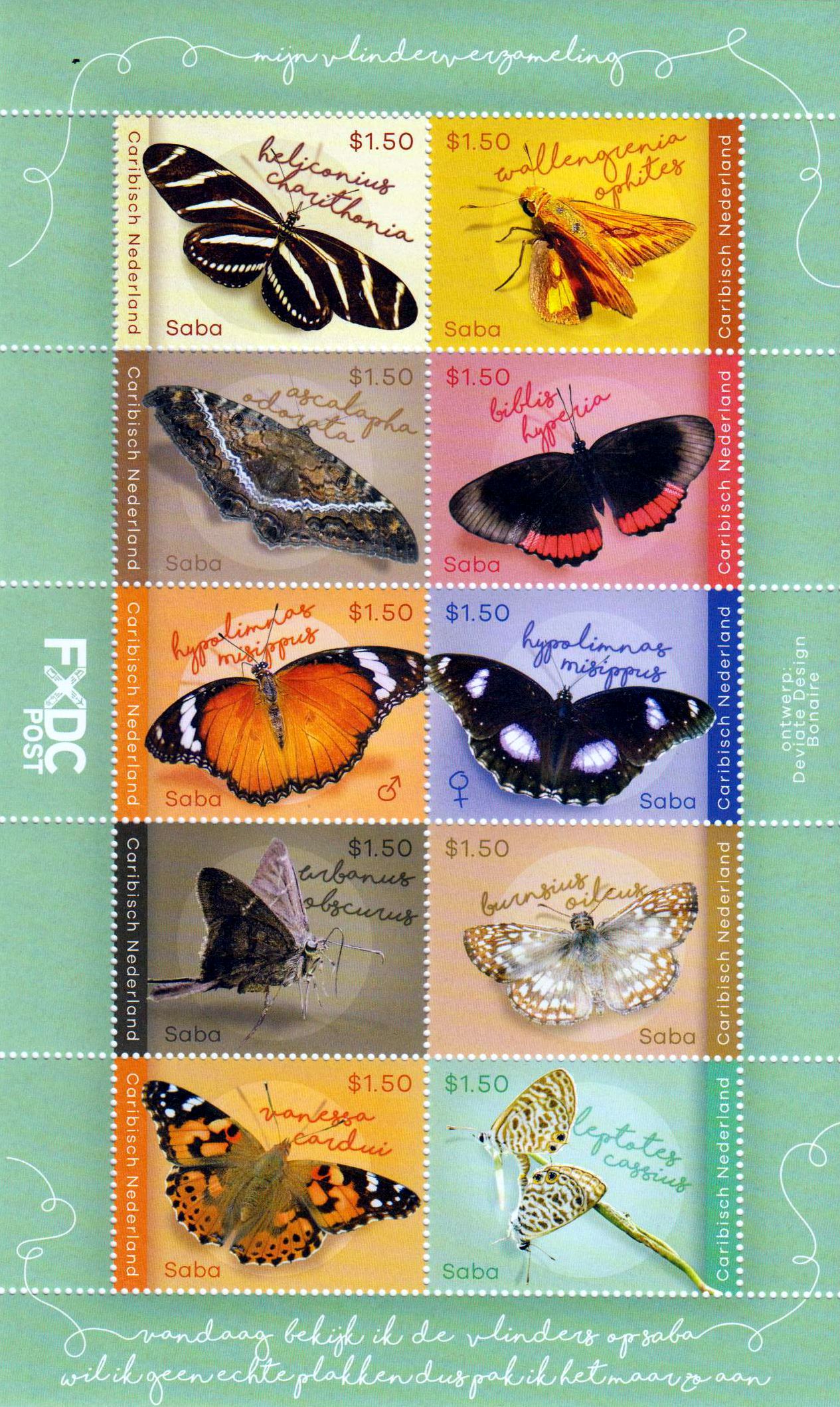 Saba, Schmetterlinge 2023