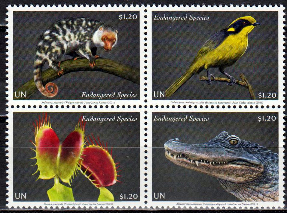 Gefährdete Arten 2021, Vogel, Krokodil