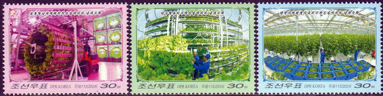 Einweihnung des Greenhouse Komplexes in Kangdong 2024, Blumen