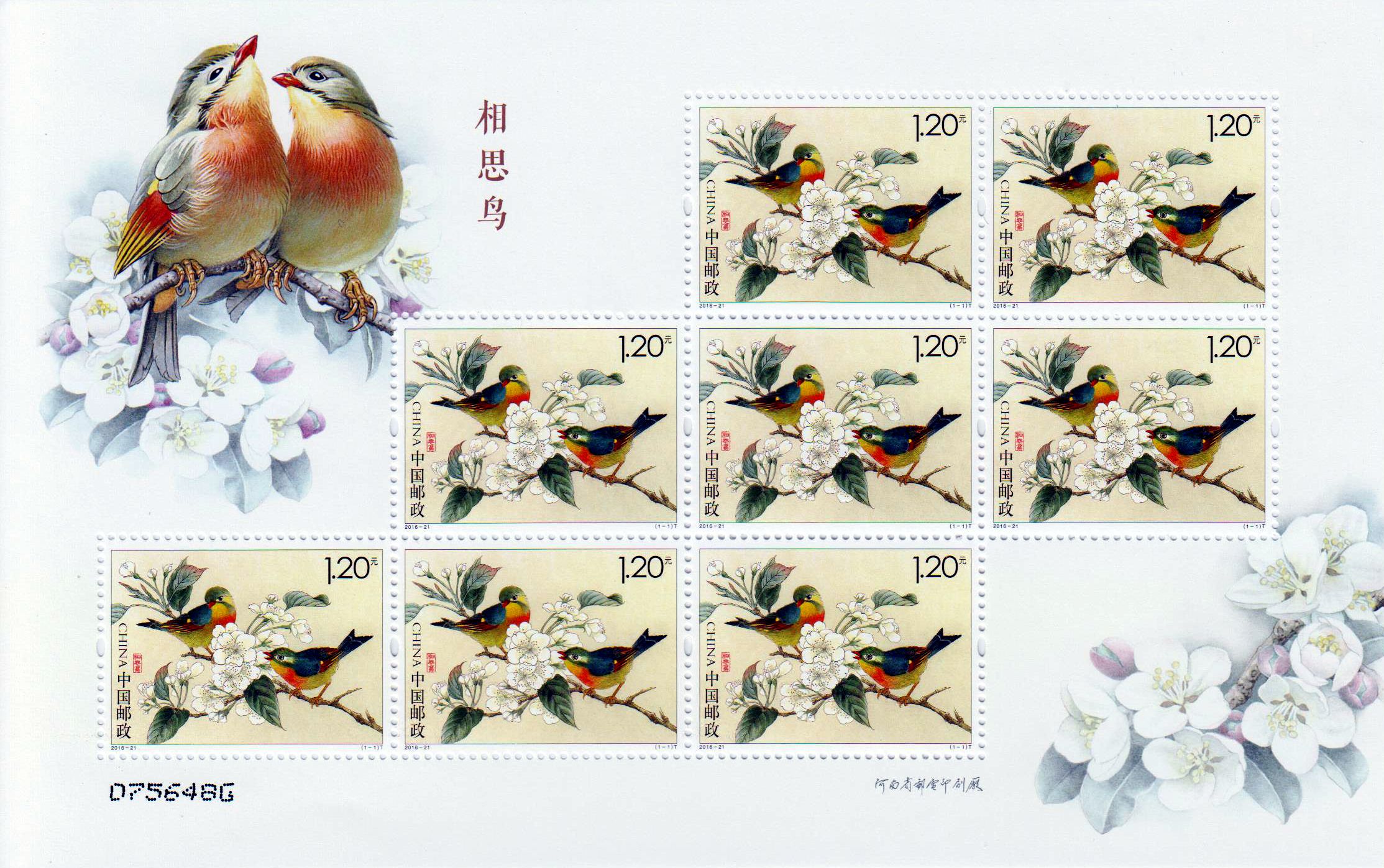 2016-21: Sonnenvogel (8er)