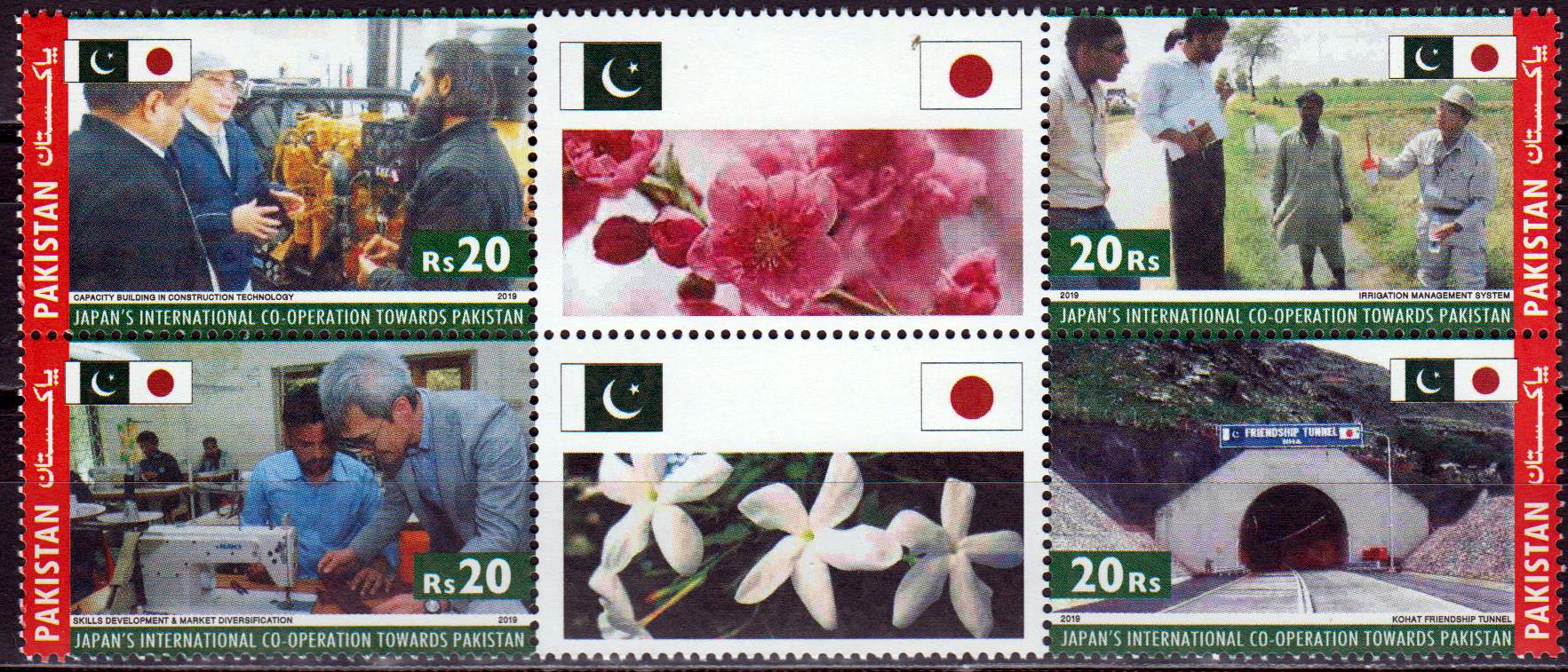 Japans intern. Zusammenarbeit mit Pakistan 2019, Berufe