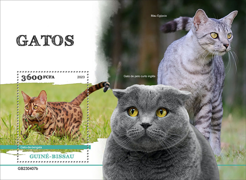Block: Katzen 2023