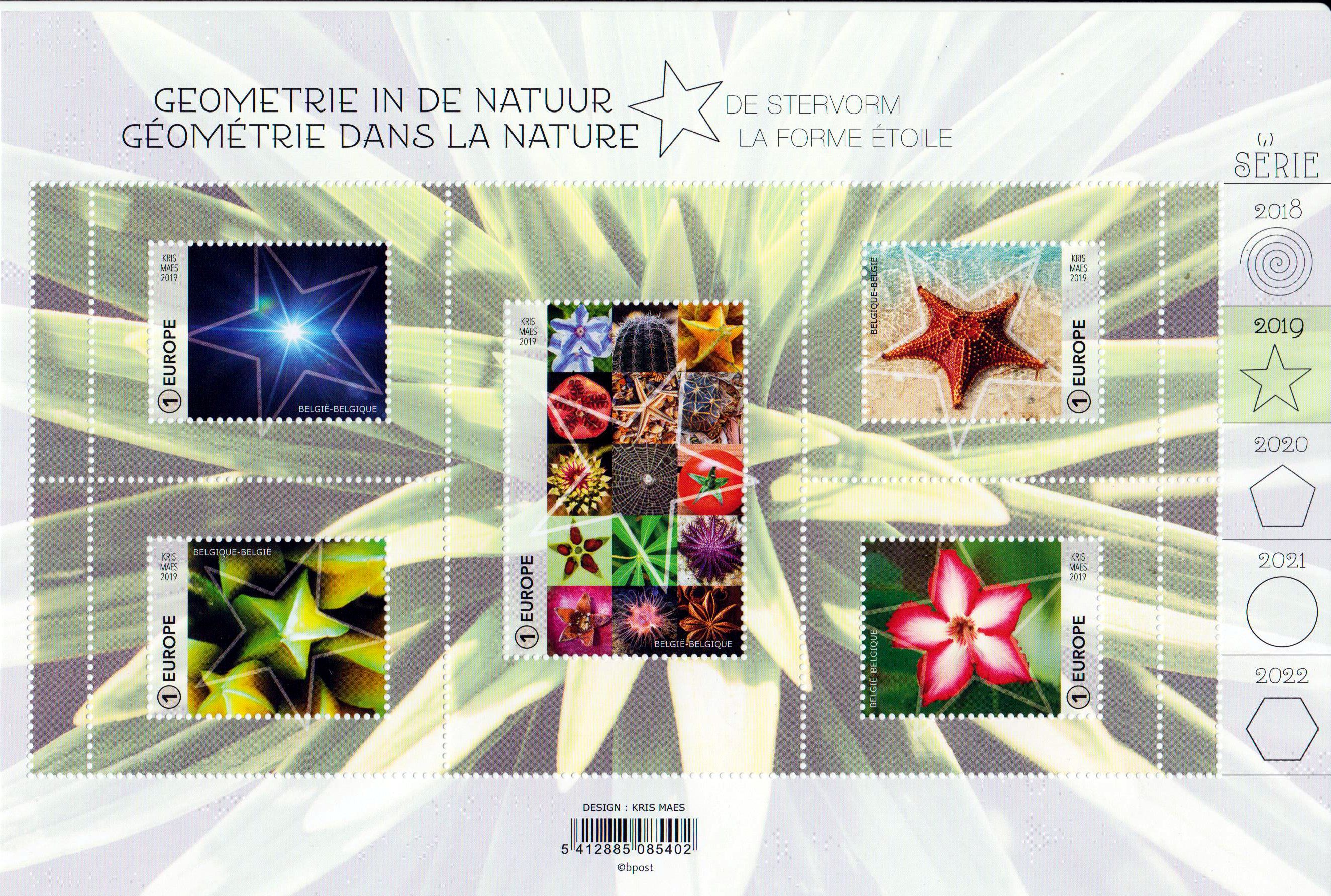 Block: Geometrie in der Natur, Blume, Seestern