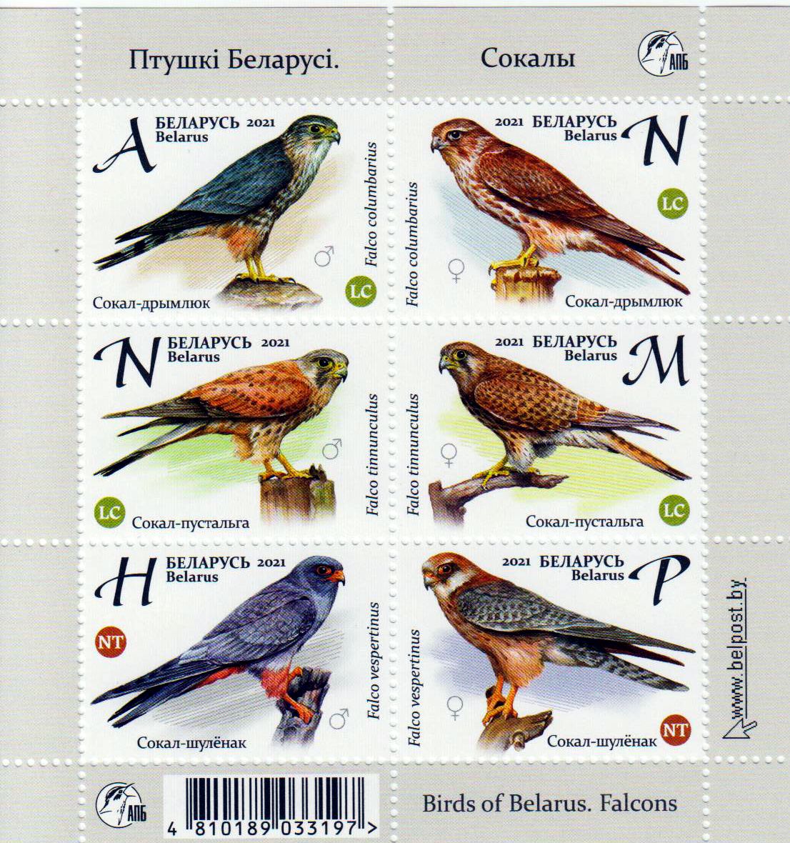 Block: Vögel in Belarus 2021, Falken