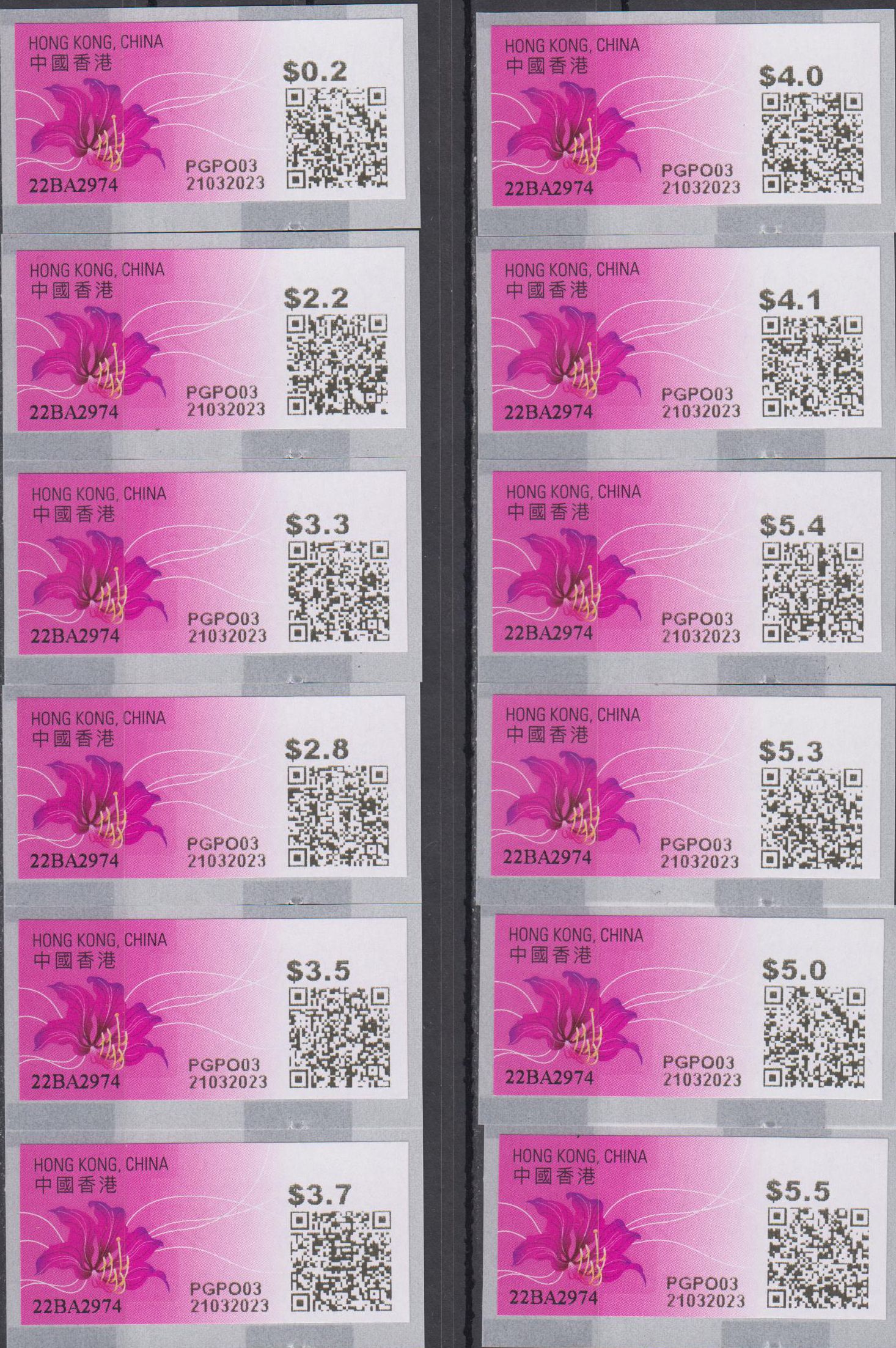 Bauhinia 2023, fetter Druck