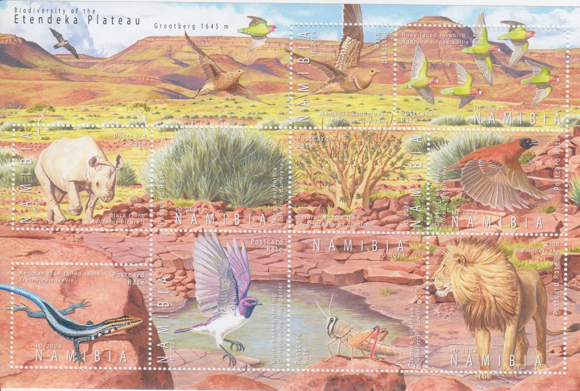 Zdr. Etendeka Plateau 2024, Tiere, Vögel