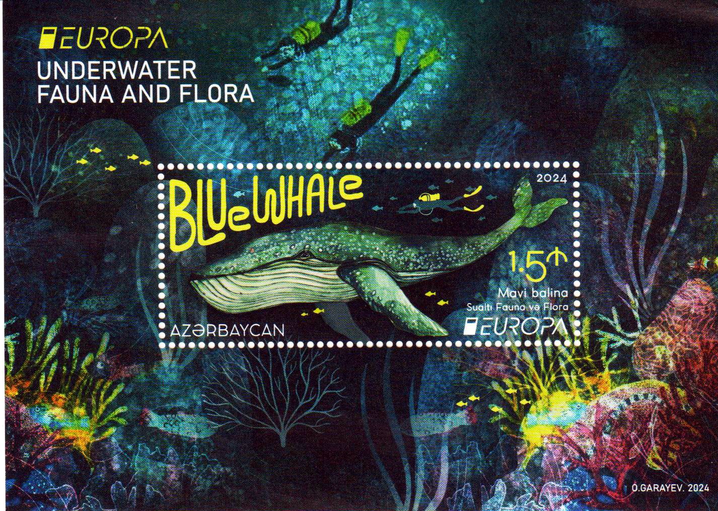 Block: Europa 2024, Blauwal